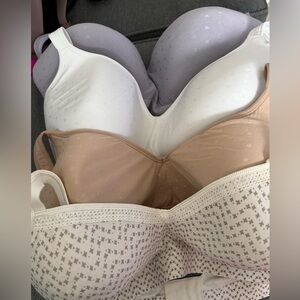 Set of 4 plus size bras in size 42DD in 4 colors by Bali